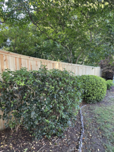 A newly installed wood privacy fence in a backyard by First in Fencing and Remodeling in Fayetteville, NC.