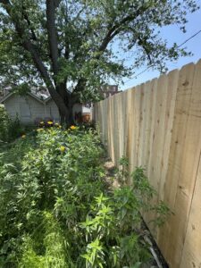 A newly installed wood privacy fence in a lush backyard, showcasing work by Exterior Experience LLC in St. Louis, MO.