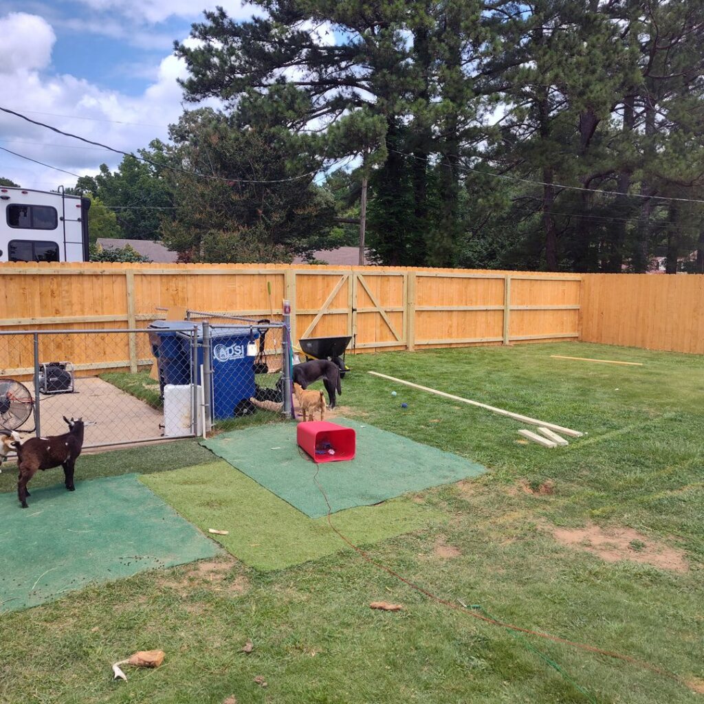 A robust wood privacy fence enclosing a backyard, installed by The Fence Dudes, a fencing contractor in Birmingham, AL.