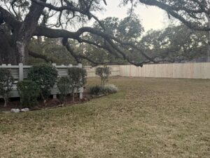 A wide view of a newly installed wood privacy fence in a spacious backyard by FenceCo LLC in Pass Christian, MS.