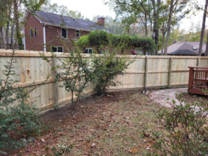 A newly installed wooden privacy fence in a backyard by Lundquist Home Improvements, a fencing contractor in Mount Pleasant, SC.
