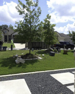 A newly installed wooden privacy fence in a backyard by Waldemar Landscape & Design in Austin, TX
