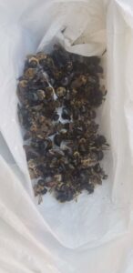 A plastic bag filled with dead bees, demonstrating a successful pest removal service by Runnin'Bugz Lawn Care and Pest Solutions in Syracuse, NY.