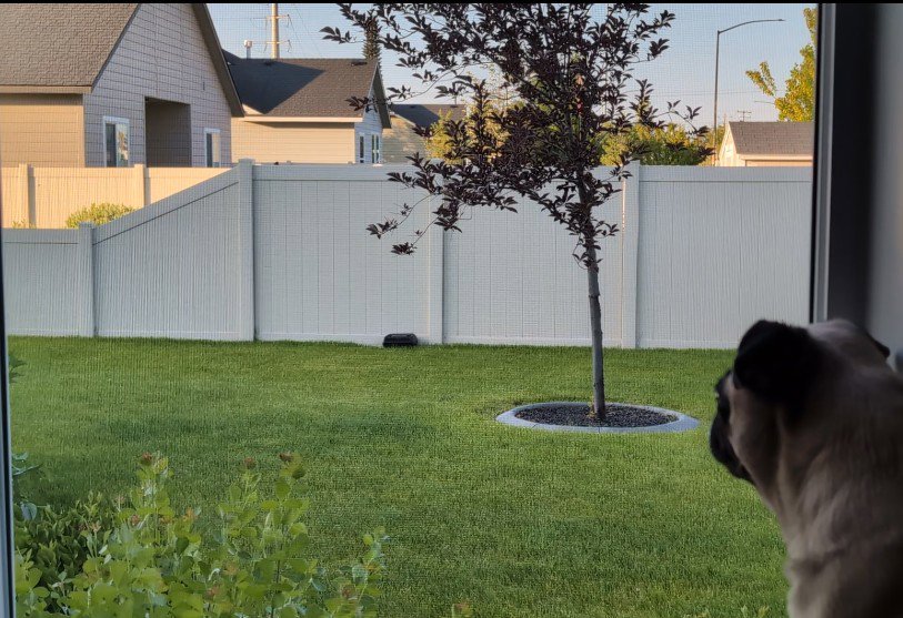 A black pest control bait station visible in a residential backyard, indicating services by Nature Shield Pest & Lawn in Meridian, ID.