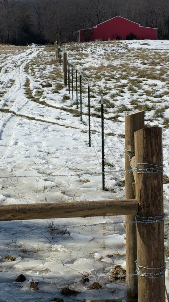 A barbed wire and T-post fence installed across snowy terrain by Stronghold Fence and Construction in Springdale, AR.
