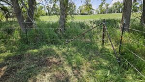 A robust barbed wire fence with a sturdy brace post in a grassy area, installed by Row Fencing and Services in Williston, ND.