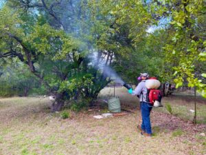 A Barefoot Mosquito & Pest Control technician spraying trees and bushes with a mist blower in Austin, TX.