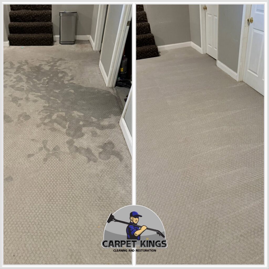 Before and after of a basement carpet cleaning service by Carpet Kings Cleaning & Restoration in Olathe, KS.