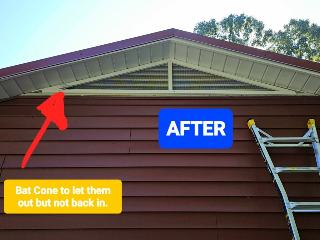 A bat exclusion cone installed on a house gable to allow bats to exit but not re-enter, an 'after' service by 1 Pest Solution in Winston-Salem, NC.