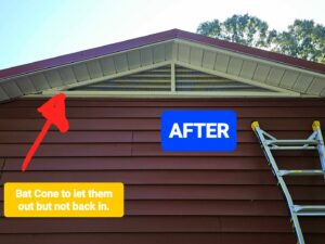 A bat exclusion cone installed on a house gable to allow bats to exit but not re-enter, an 'after' service by 1 Pest Solution in Winston-Salem, NC.