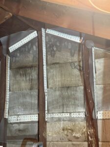 Bat guano (droppings) visible in an attic, indicating a wildlife pest control issue addressed by Titan Pest Pro - Springfield in Springfield, MO.