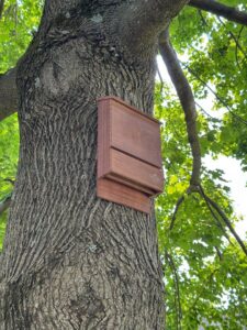A bat house installed on a tree as part of humane wildlife management by PestGoat, llc. in Fort Ashby, WV.