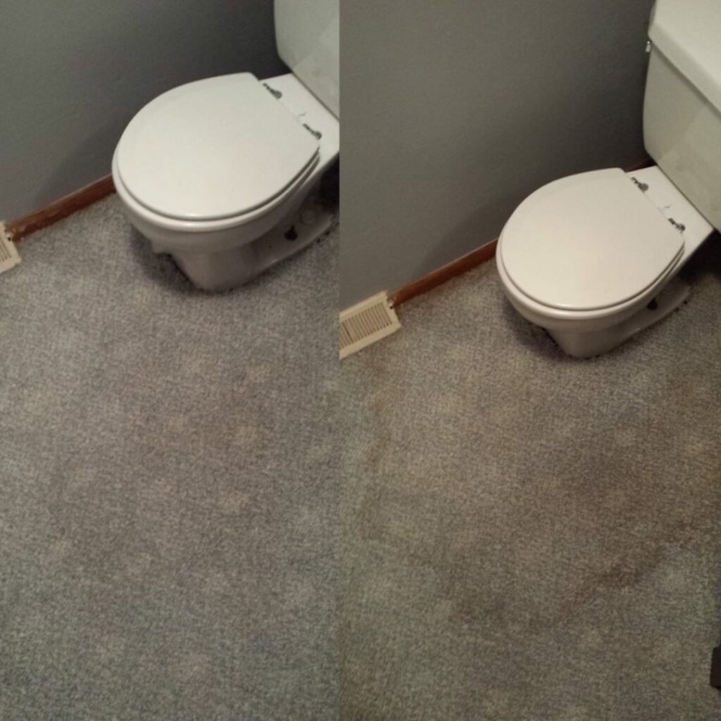 Before and after professional carpet cleaning around a toilet by Eco-Cleaning Services in Portland, OR.