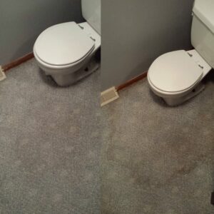 Before and after professional carpet cleaning around a toilet by Eco-Cleaning Services in Portland, OR.