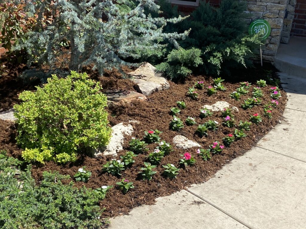 A beautifully landscaped flower bed with fresh mulch and new plants, completed by Perez Lawn Care llc in Oklahoma City, OK