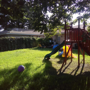 A beautifully maintained backyard lawn with a playset, showcasing quality work by DLC Service in Kenner, LA.