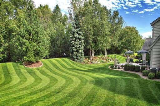 A beautifully striped backyard lawn, showcasing professional mowing by Affordable Lawn Care llc in Bowling Green, KY.
