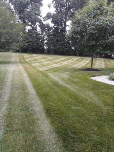 A beautifully striped, well-maintained lawn showcasing professional mowing by John's Lawn Care Service's in Saint Petersburg, FL