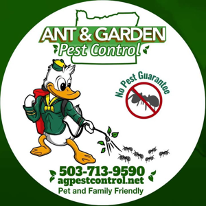 Beaverton Ant Solutions