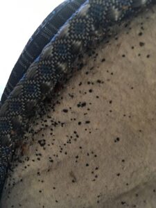 Extensive bed bug droppings visible on the underside of a mattress, indicating an infestation addressed by Bug Bounty Hunters LLC in Akron, OH.