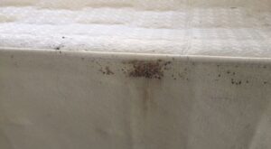 Bed bug droppings and signs of infestation visible on a mattress, indicating a service by Bug Bounty Hunters LLC in Akron, OH.