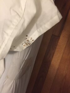 Dark bed bug droppings and stains visible on a white sheet, indicating an infestation handled by Pros In Control Pest Services in Jersey City, NJ.