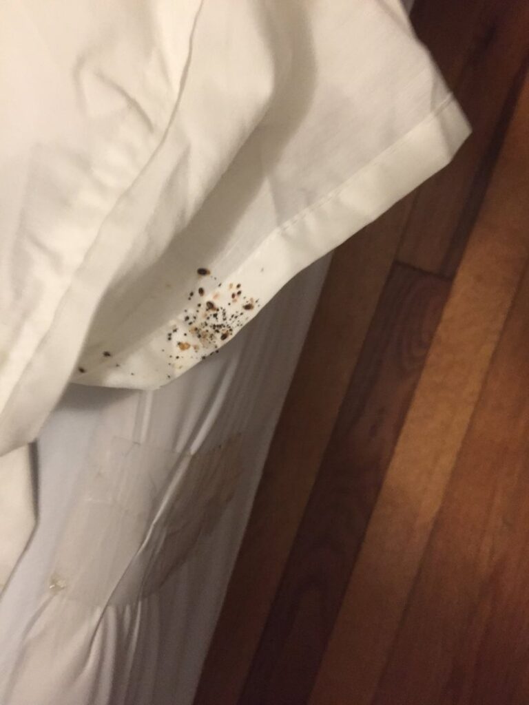 Dark bed bug droppings and stains visible on a white sheet, indicating an infestation handled by Pros In Control Pest Services in Jersey City, NJ.