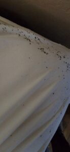 Evidence of bed bugs or other pests on a mattress, showing dark spots, for Natrix Pest Control in Bakersfield, CA.