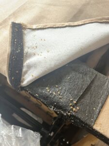 Evidence of a bed bug infestation with small specks on fabric, indicating a pest control need for Ark Pest Management in Anaheim, CA.