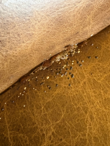 Close-up of furniture showing evidence of a bed bug or similar pest infestation, indicating a pest control service by BCPC Exterminating Inc. in Elizabethtown, KY.