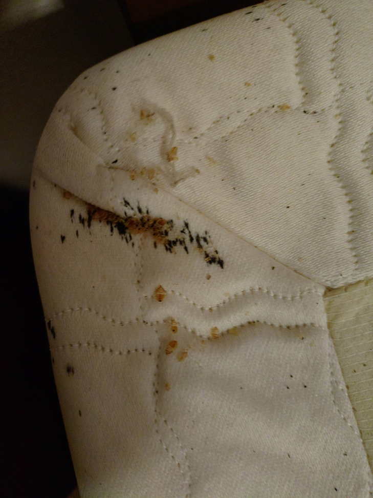 A severe bed bug infestation with visible bugs and fecal stains on a mattress corner, showing a pest control issue addressed by Enviro-Pest Solutions in Waterloo, IA.