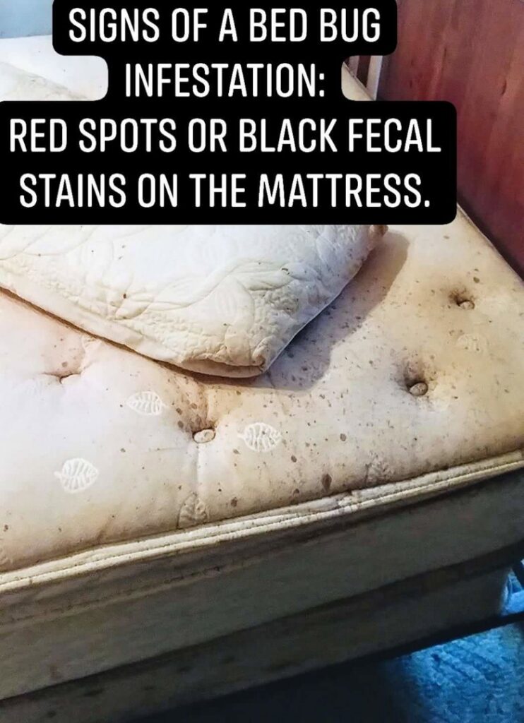 A mattress showing signs of a bed bug infestation with red and black fecal stains, addressed by Ampulex Environmental Solutions in Oxford, OH.