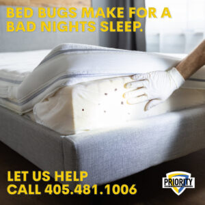 A gloved hand inspecting a mattress for bed bugs, showing evidence of an infestation, by Priority Pest & Mosquito in Oklahoma City, OK.