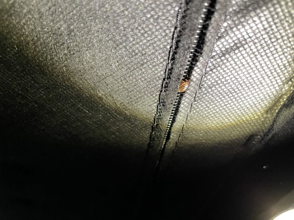 A bed bug visible on a zippered black fabric surface, indicating bed bug treatment services from Pike Creek Exterminating in Kenosha, WI.