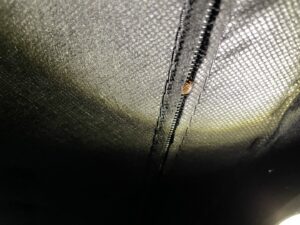 A bed bug visible on a zippered black fabric surface, indicating bed bug treatment services from Pike Creek Exterminating in Kenosha, WI.