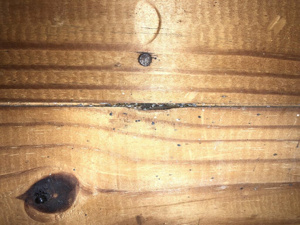 Dark bed bug stains visible in a crack of wooden floorboards, indicating a pest issue for Himalaya Pest Control in Alpharetta, GA.