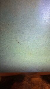 Small dark bedbug droppings visible on a light blue surface, indicating pest activity found by Northwest Bedbug Company in Spokane, WA.