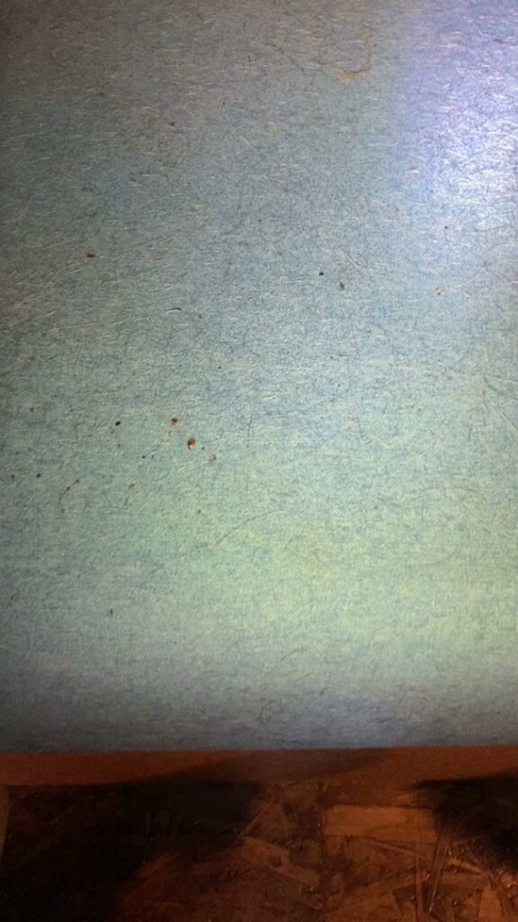 Small dark bedbug droppings visible on a light blue surface, indicating pest activity found by Northwest Bedbug Company in Spokane, WA.