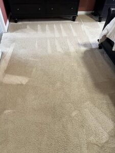 A bedroom carpet looking fresh and clean after service from Oxi Fresh Carpet Cleaning in Frederick, MD