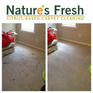 Before and after comparison of a bedroom carpet cleaned by Nature's Fresh in Birmingham, AL