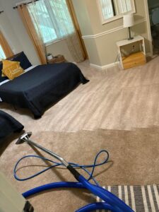 Bedroom carpet cleaning showing a clear before and after line, demonstrating the effectiveness of 303 Carpet Cleaning in Lakewood, CO