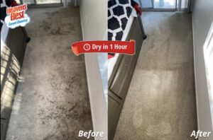 Before and after of a bedroom carpet cleaning job, highlighting the "Dry in 1 Hour" service by Heaven's Best Carpet Cleaning of Rio Rancho ABQ.