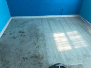 Before and after comparison of a dirty bedroom carpet cleaned by Get Green Carpet Cleaning CT in West Hartford, CT.