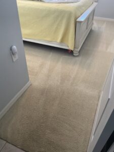 Professional carpet cleaning in a bedroom, showing clear clean lines, by The Best Carpet & Tile Cleaners in Alva, FL.