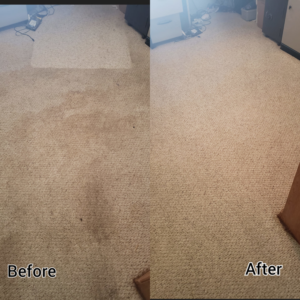 A bedroom carpet deep cleaned, showing before and after results by Gateway Steamers in Austin, TX