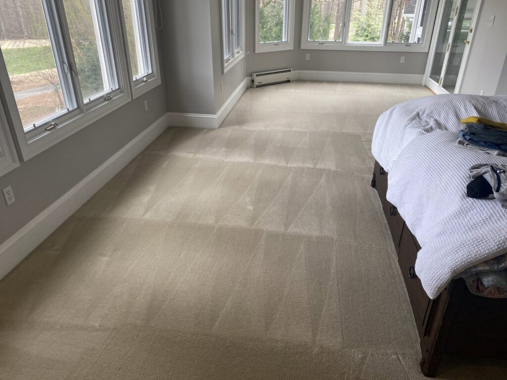 Bedroom carpet freshly cleaned with visible cleaning patterns by RVA Steamer in Richmond, VA