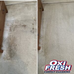 Before and after of bedroom carpet with stains removed by Oxi Fresh Carpet Cleaning in Frederick, MD