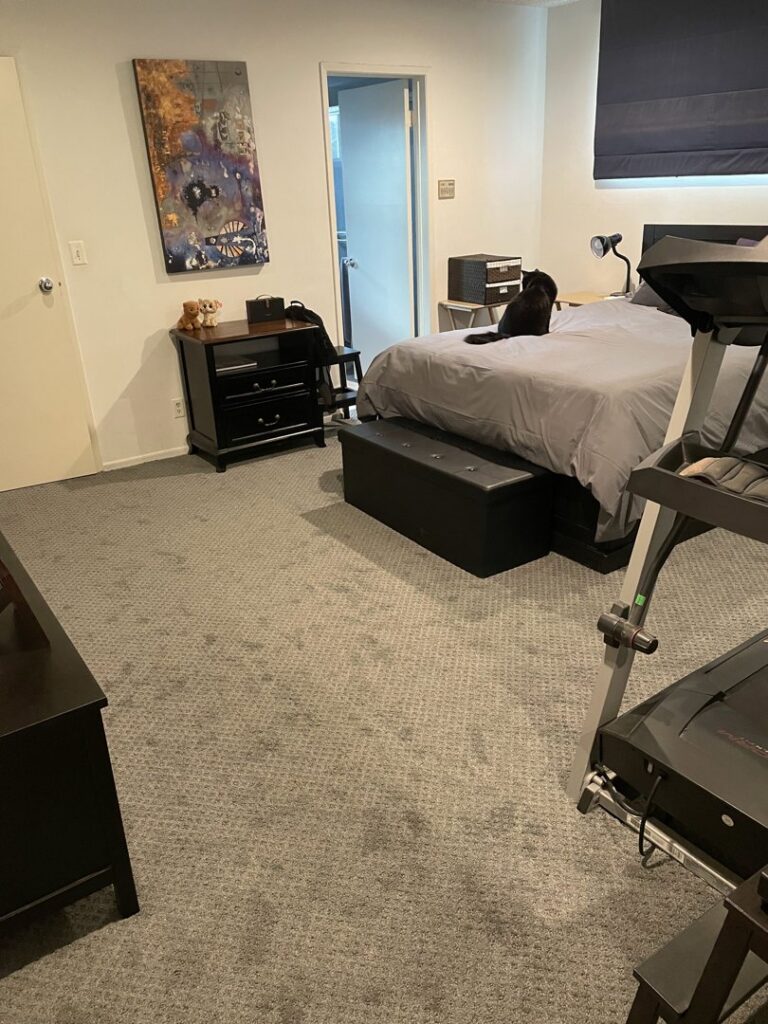 A bedroom featuring a newly installed gray patterned carpet by Footprints Floors LA / San Fernando Valley in Studio City, CA.