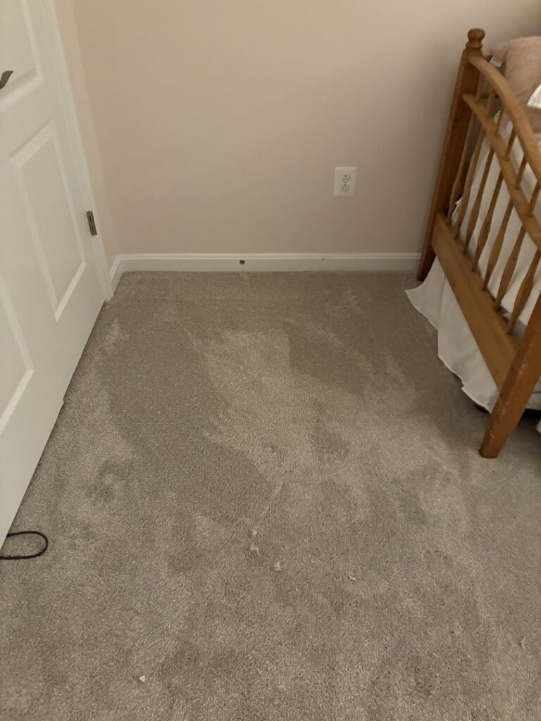 A cozy bedroom featuring newly installed light gray carpet, a service by Petersen's Carpet & Flooring in Frederick, MD