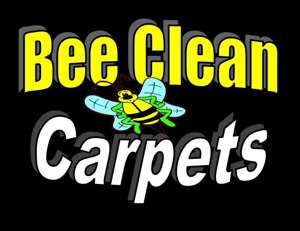 Bee Clean Carpet Steam Cleaning